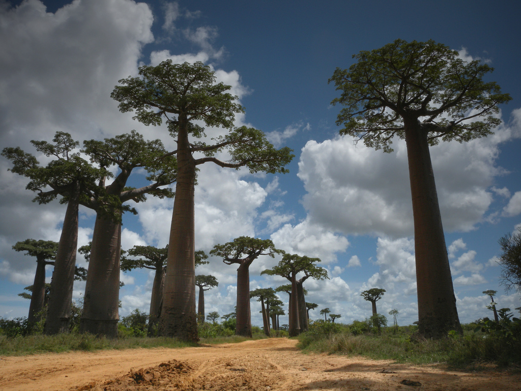 Circuit Madagascar